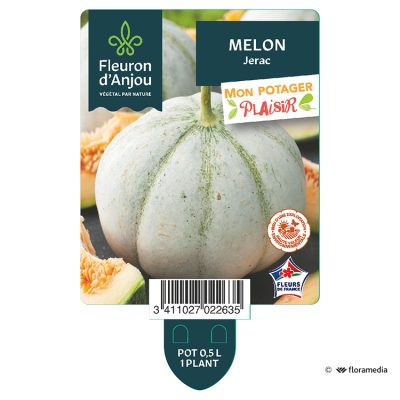 Melon Jerac