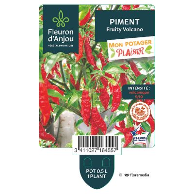 Piment Fruity Volcano