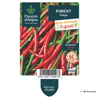 Piment Fuego