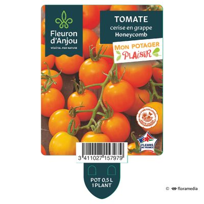 Tomate Cerise en Grappe Honeycomb