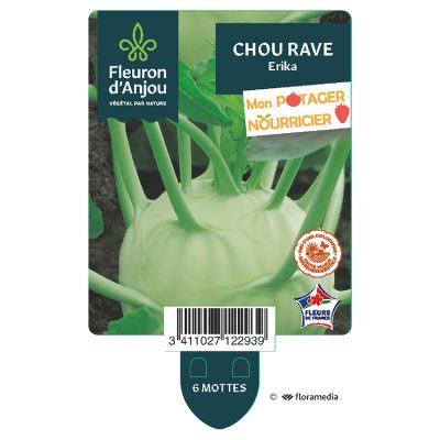 Chou Rave Erika