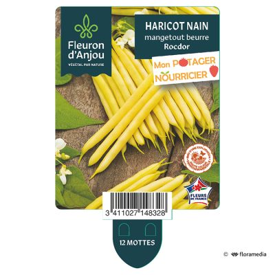 Haricot Nain Mangetout Beurre Rocdor