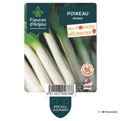 Poireau Armor