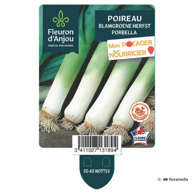 Poireau Porbella