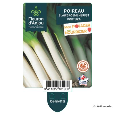 Poireau Portura