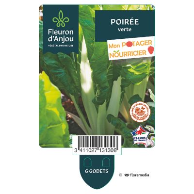 Poirée Verte