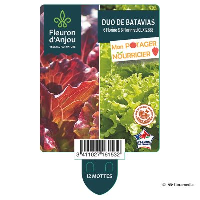 duo de Batavias - 6 Florine & 6 Florinred Clx12388