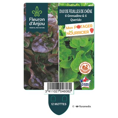 duo de Feuilles de Chêne - 6 Grenadine & 6 Querido