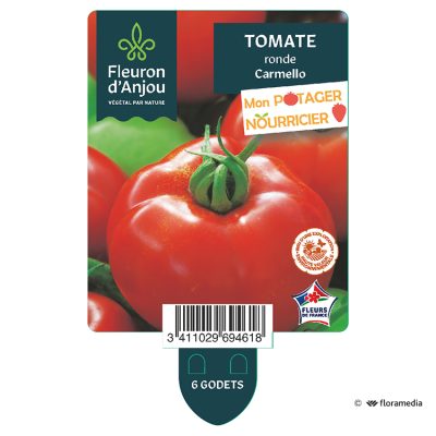 Tomate Ronde Carmello