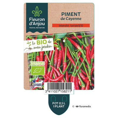 Piment de Cayenne