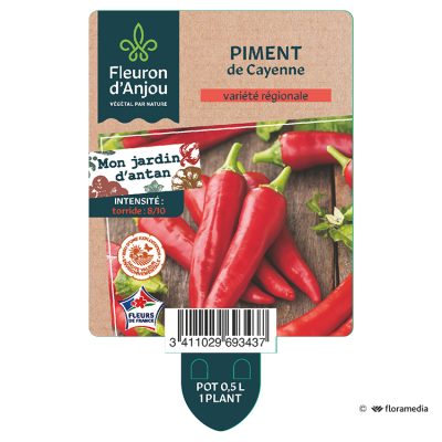 Piment de Cayenne