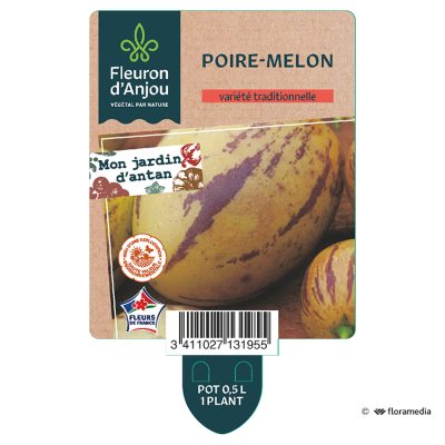 Poire-Melon