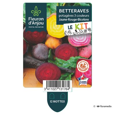 Kit Betteraves Potagères Trois Couleurs
