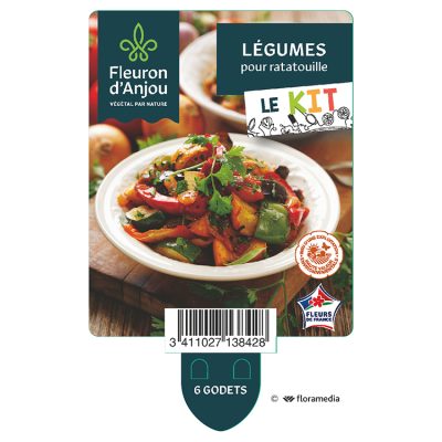 Kit Légumes Pour Ratatouille