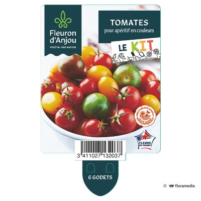 Kit Tomates Pour Apéritif en Couleurs