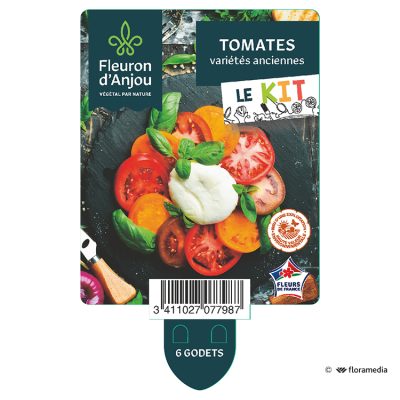 Kit Tomates Variétés Anciennes