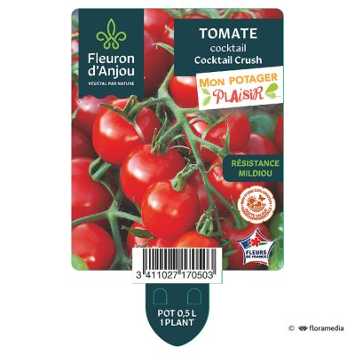 Tomate Cocktail Crush