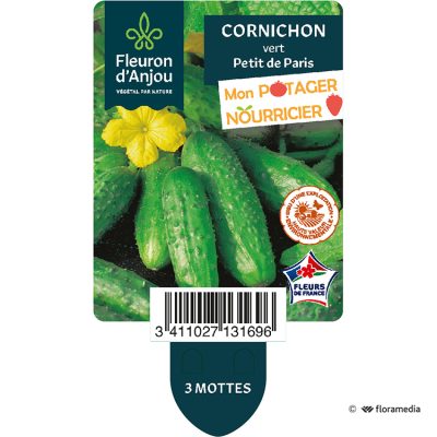 Cornichon Vert Petit de Paris