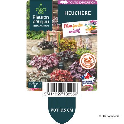 Heuchère Collection