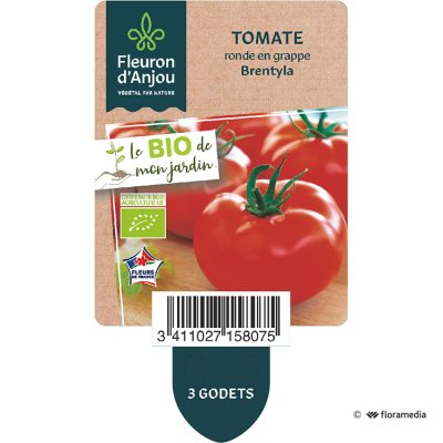 Tomate Ronde en Grappe Brentyla