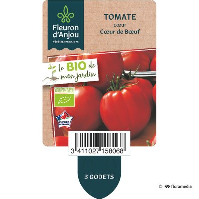 Tomate Cœur Cœur de Bœuf