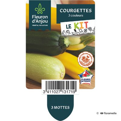 Kit Courgettes Trois Couleurs