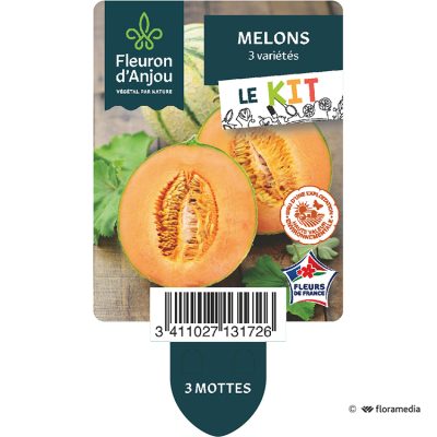 Kit Melon Trois Saveurs