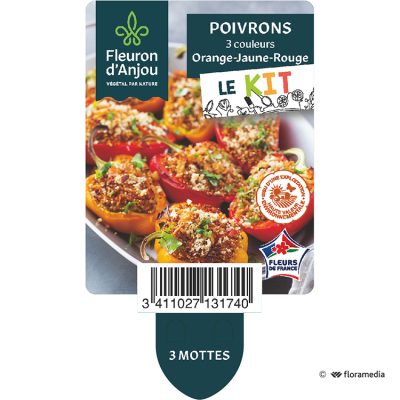 Kit Poivrons Trois Couleurs
