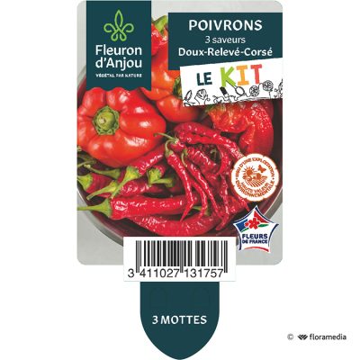 Kit Poivrons Trois Saveurs