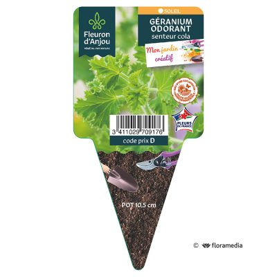 Geranium Odorant Cola