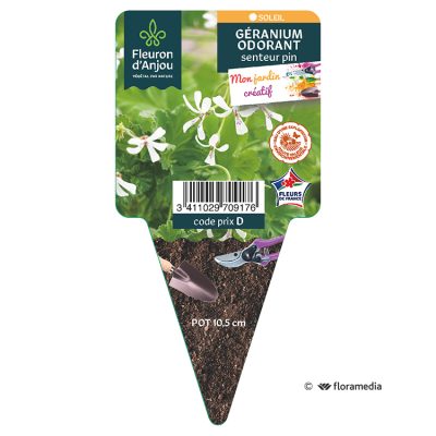 Geranium Odorant Pin