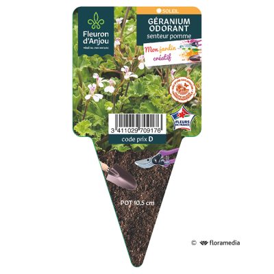 Geranium Odorant Pomme