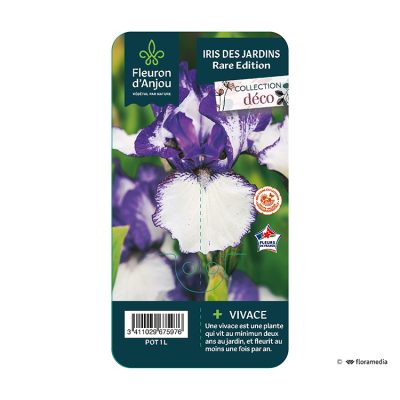 Iris Rare Edition